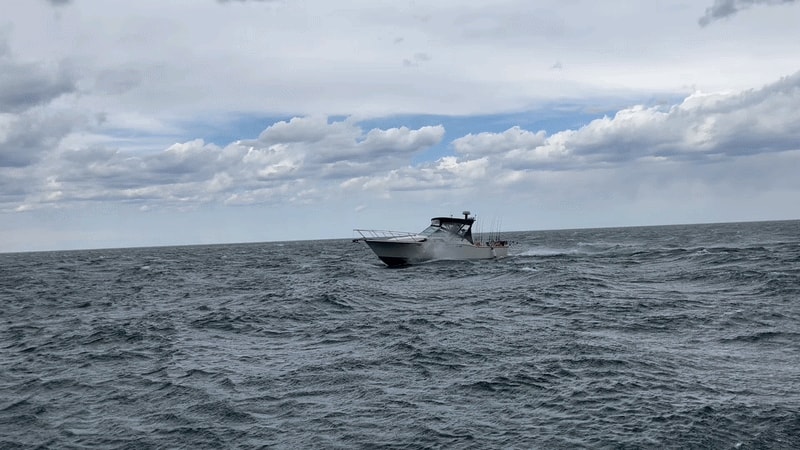 The Wet Willy running Lake Ontario