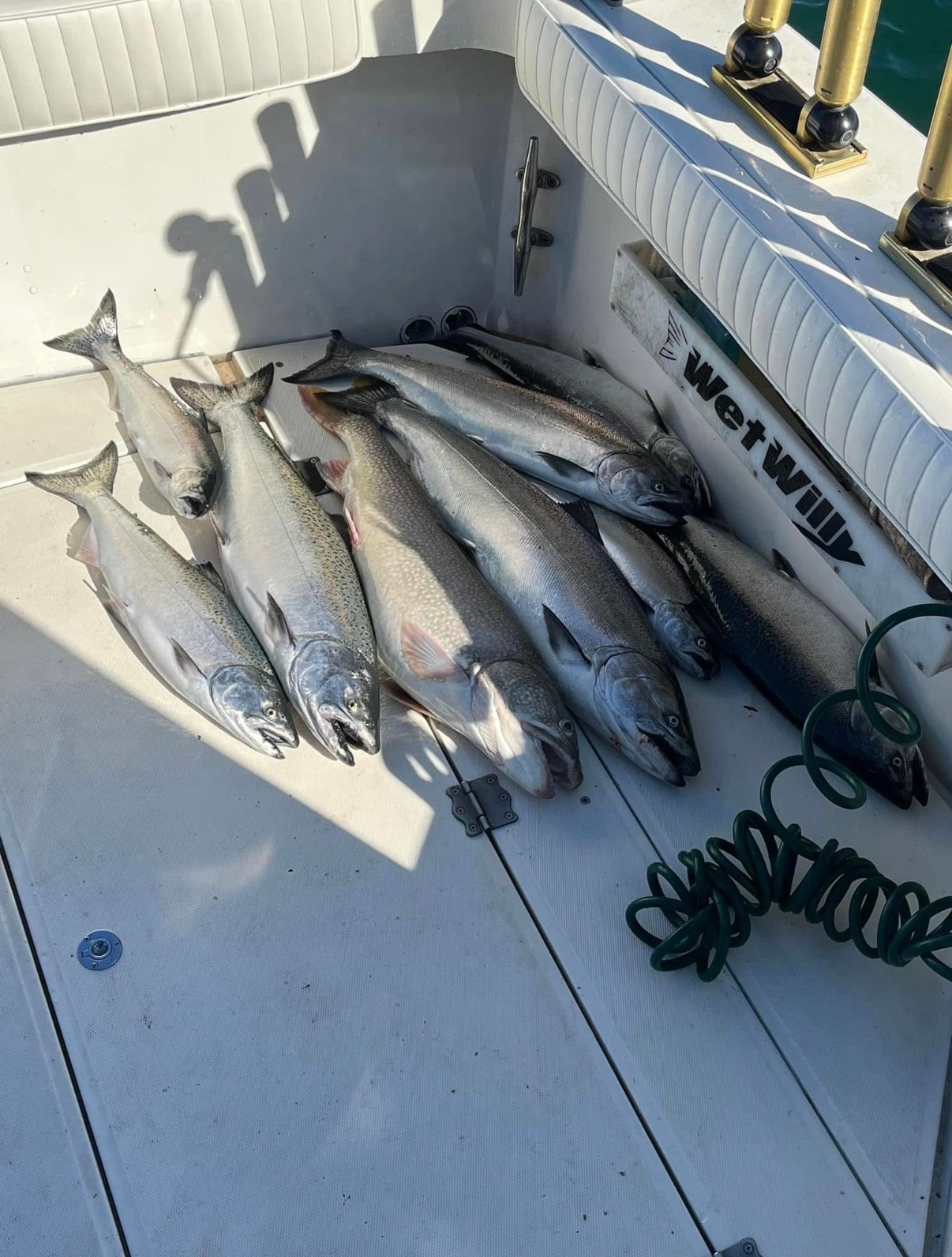 Cooler full of salmon — great day on the water